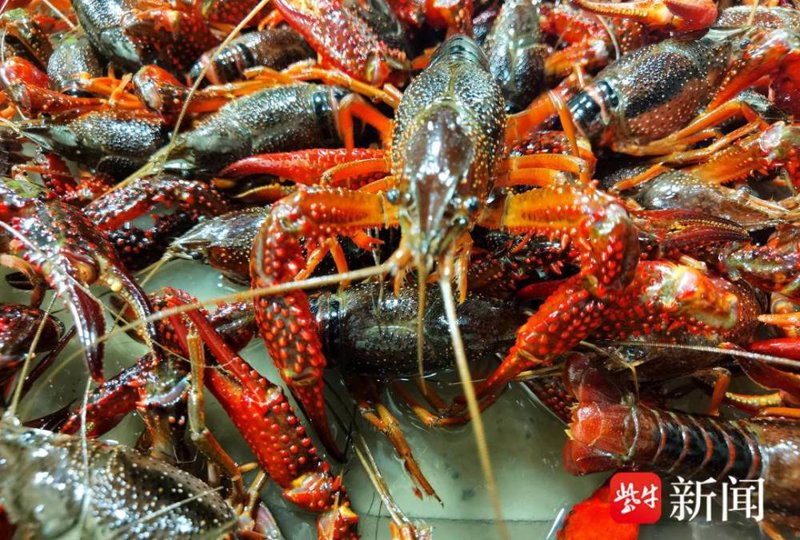 镇江水产批发