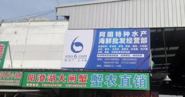 活鱼配送：打造鲜活美味的餐桌体验