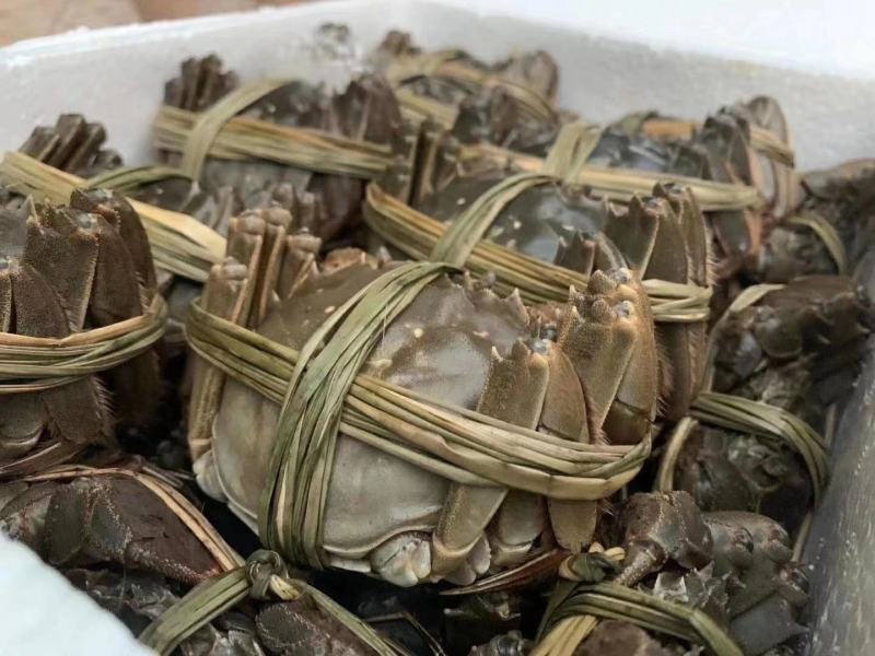 电商时代的水产批发：新趋势与机遇