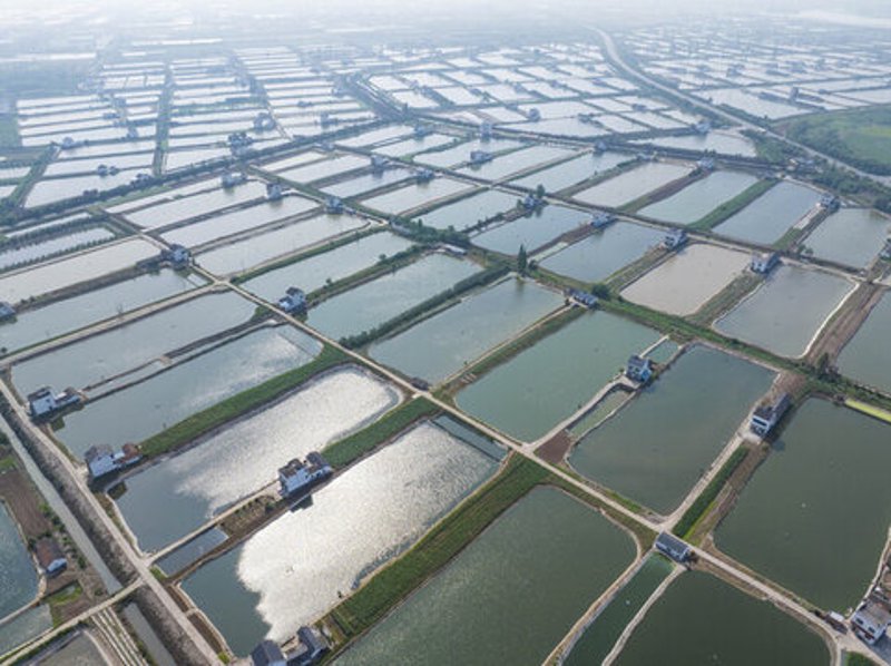 探索京口水产市场的海鲜魅力