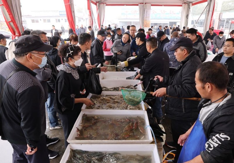 如何在镇江找到最优质的水产批发基地